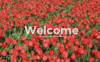 Flowers_Startup.png